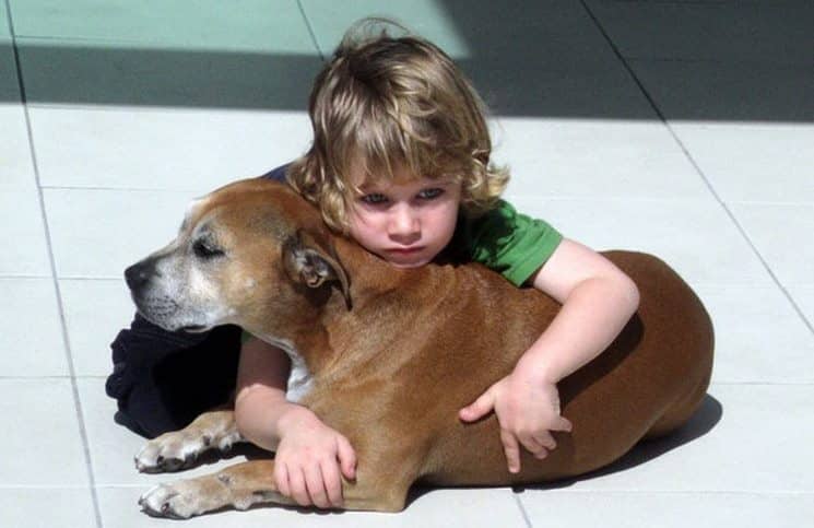 Είπαν σε ένα 6χρονο παιδί ότι ο σκύλος του θα πεθάνει. Διαβάστε τι τους απάντησε