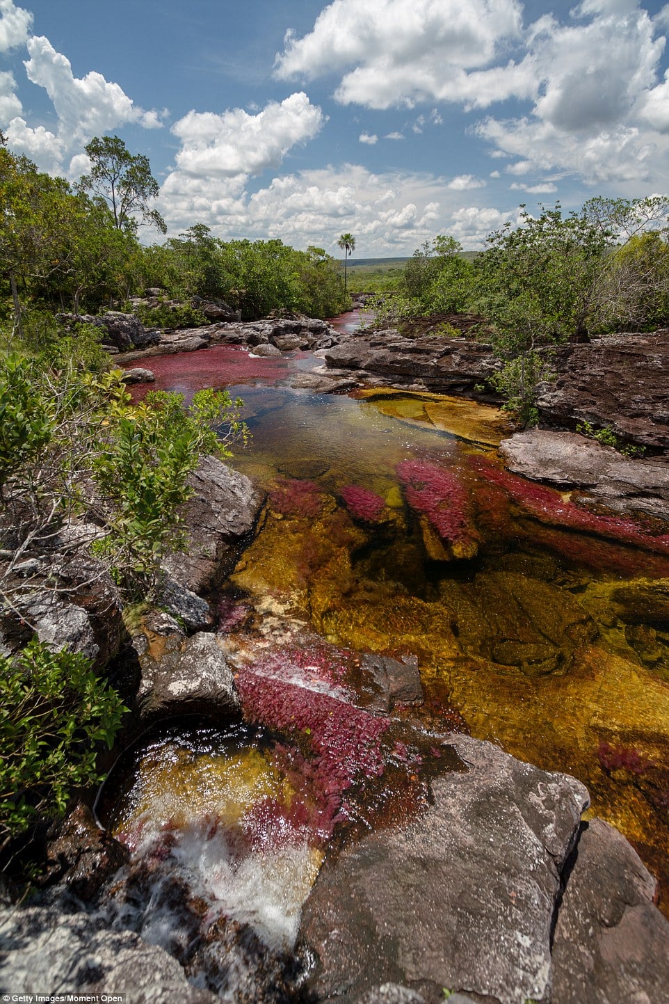 tilestwra.gr | Αυτό είναι το ποτάμι γεμάτο χρώματα που τρελαίνει τους τουρίστες στην Κολομβία!